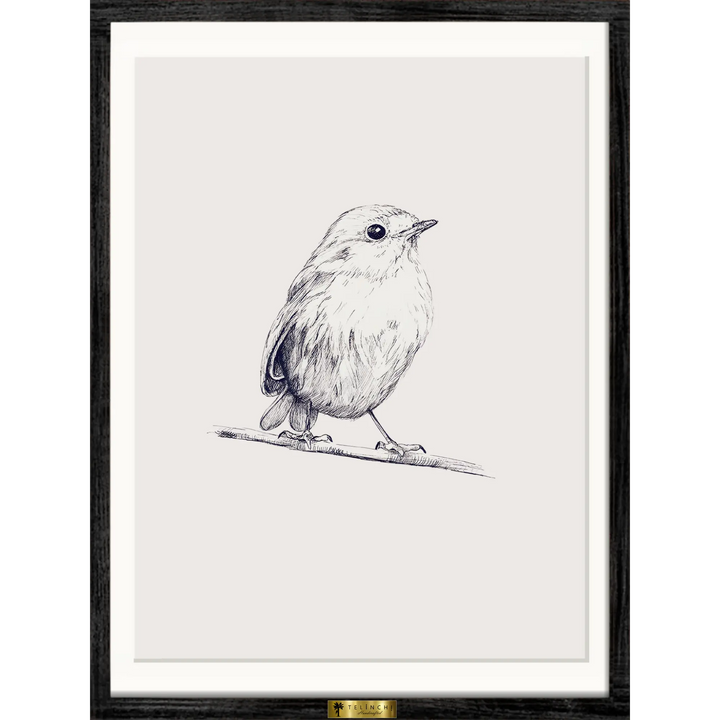 Sketch of a Bird