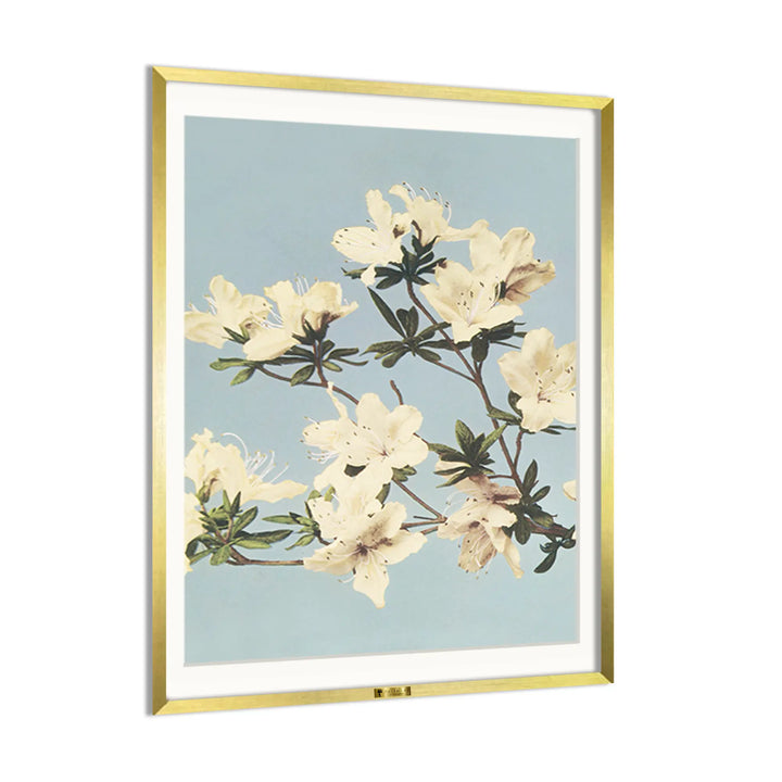 Blooming Ivory