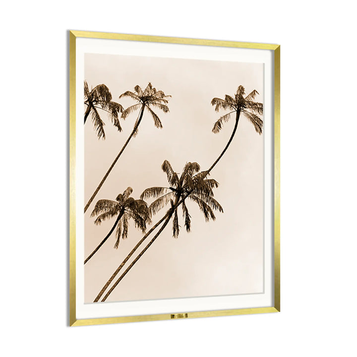 Sepia Palms