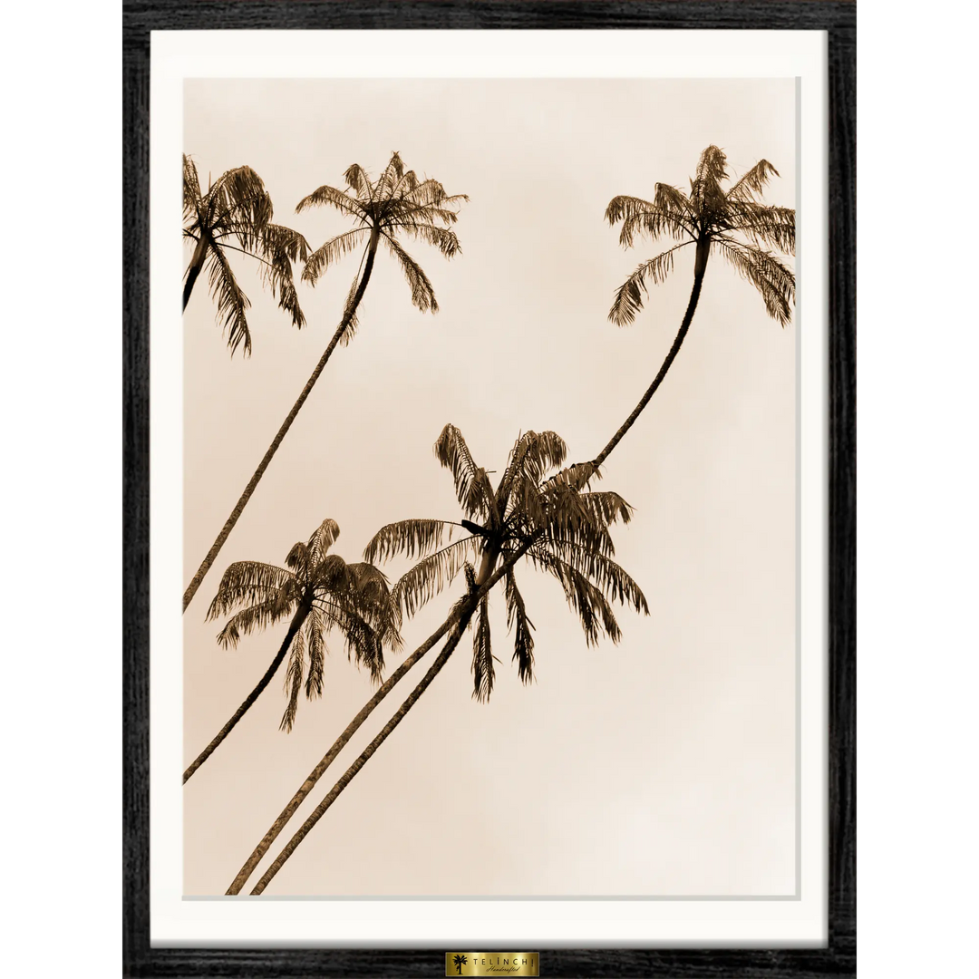 Sepia Palms