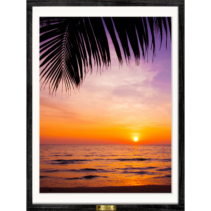Tropical Glow