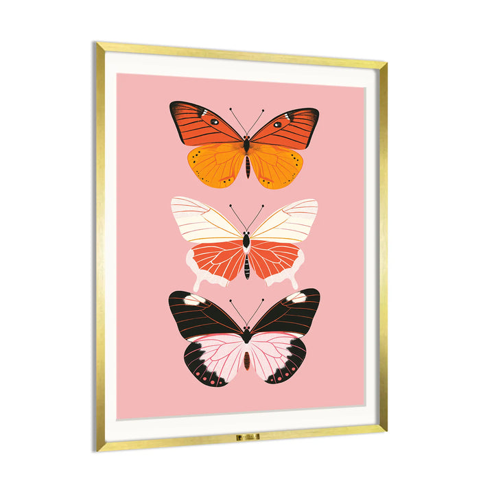 Butterfly Symphony