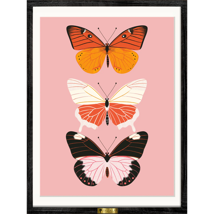 Butterfly Symphony