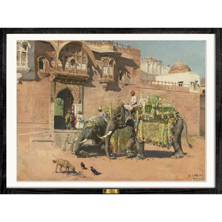 Decorated Elephants in Ceremony