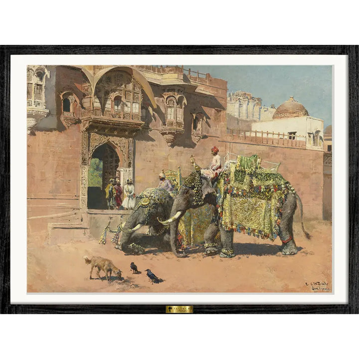 Decorated Elephants in Ceremony