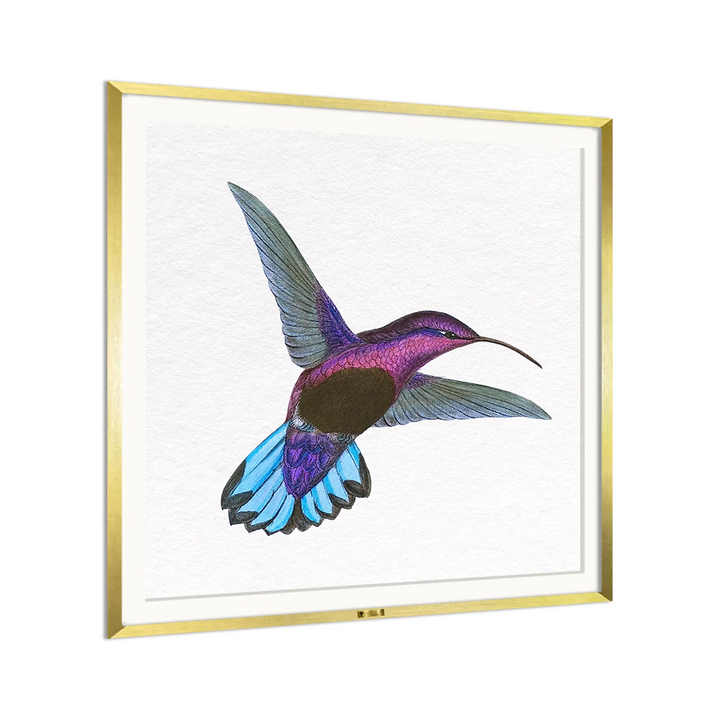 Wings of Wonder