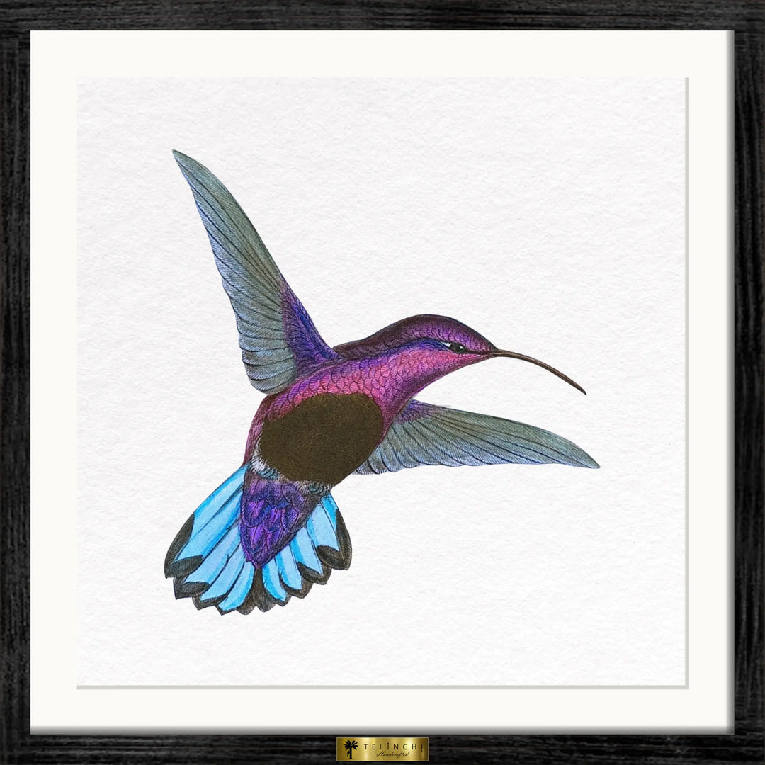 Wings of Wonder