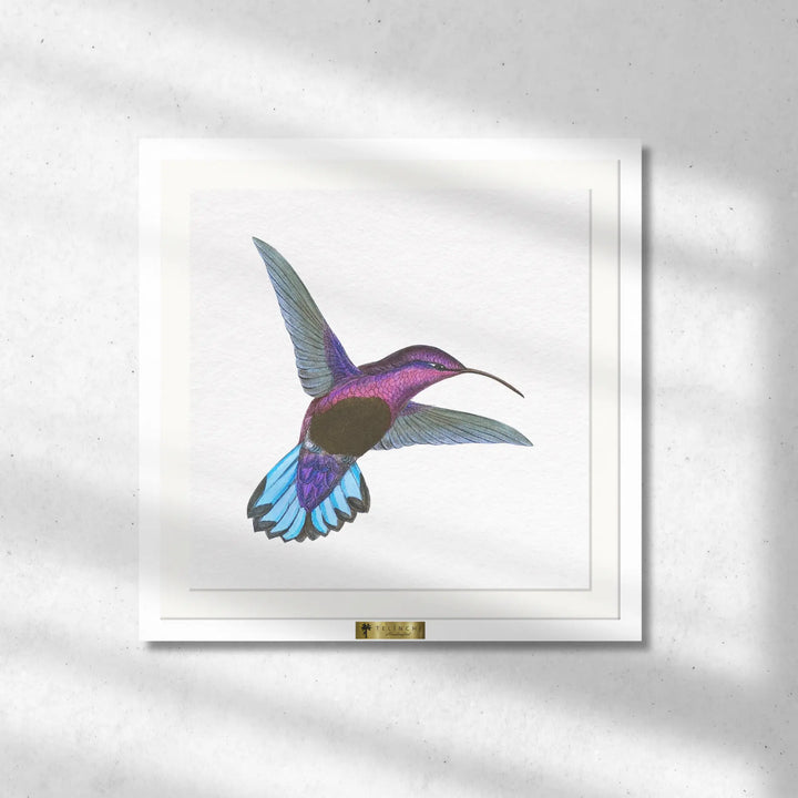 Wings of Wonder