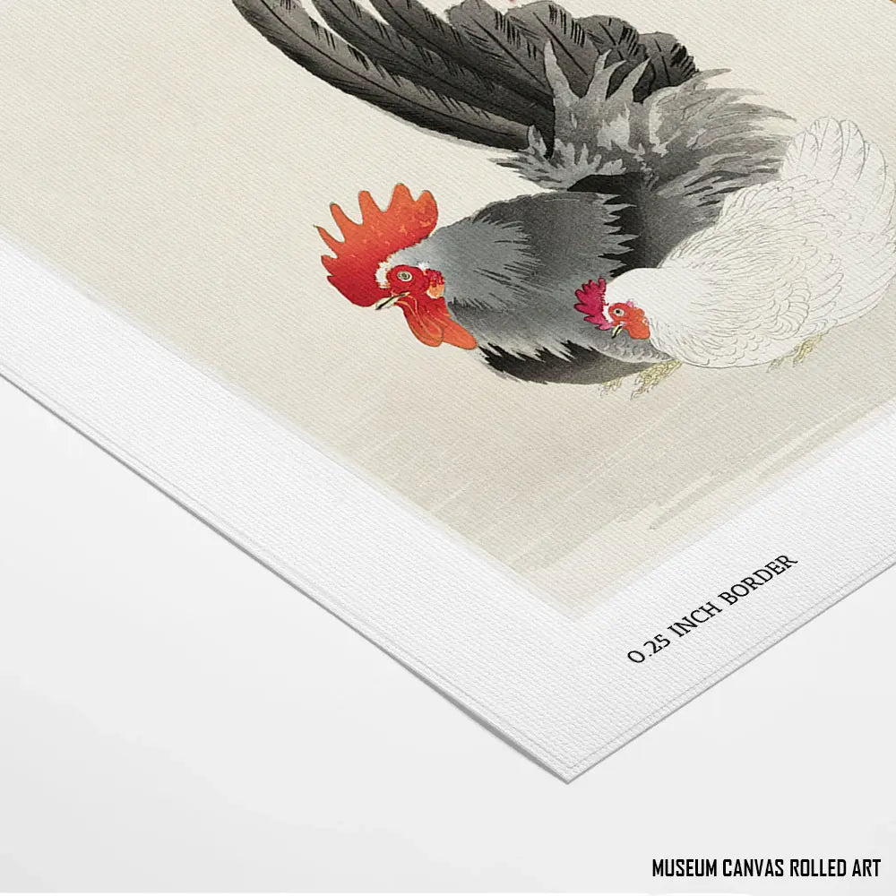 Feathered Companions