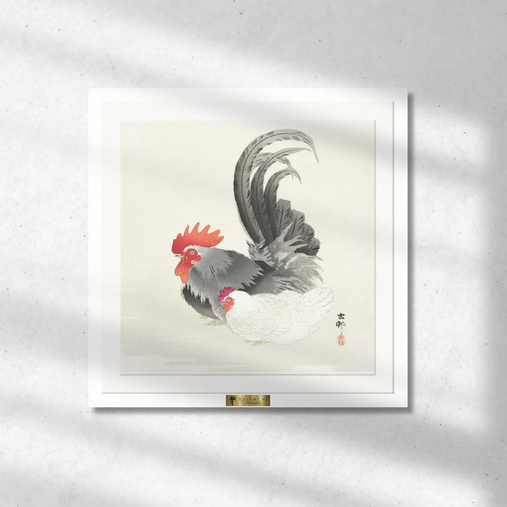 Feathered Companions