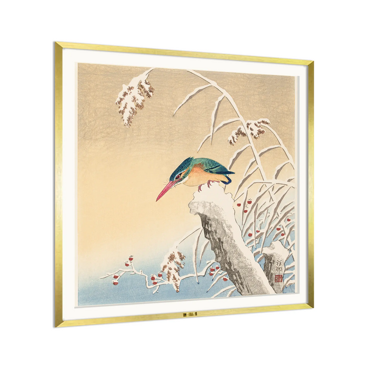 Winter Watcher