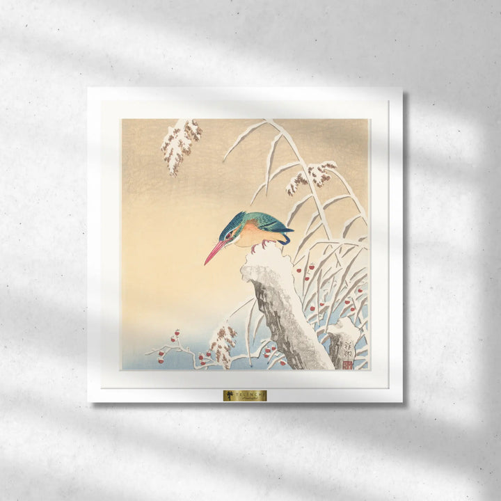 Winter Watcher
