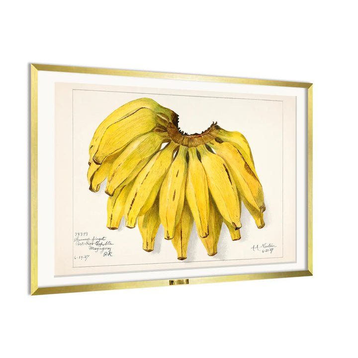 Golden Bananas