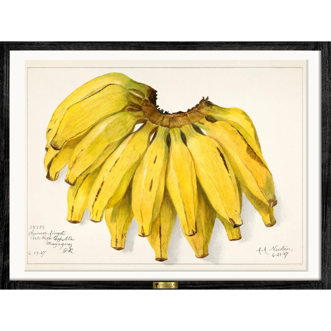 Golden Bananas