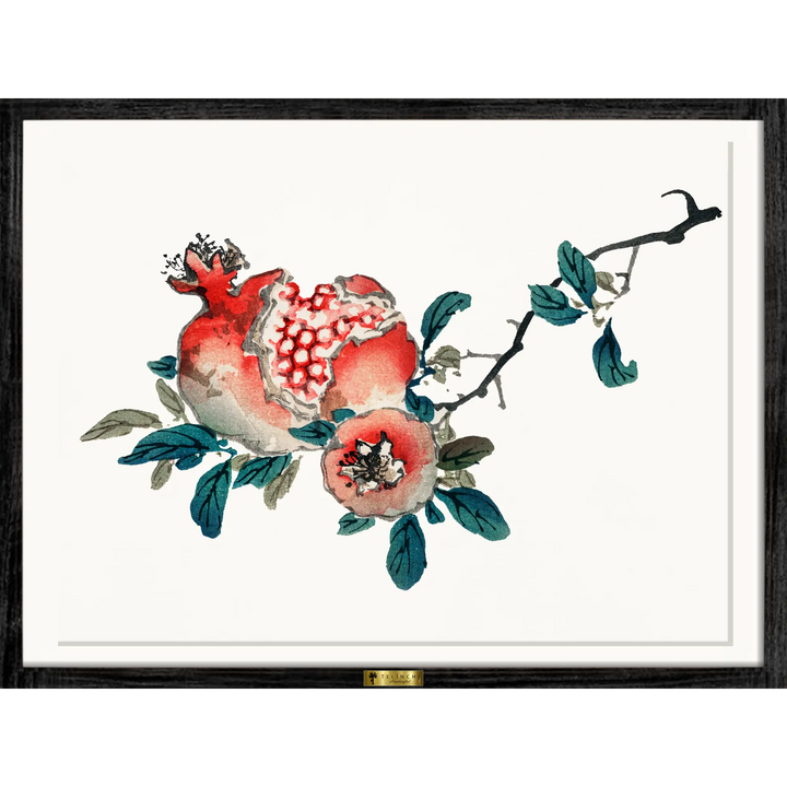 Lush Pomegranate Branch
