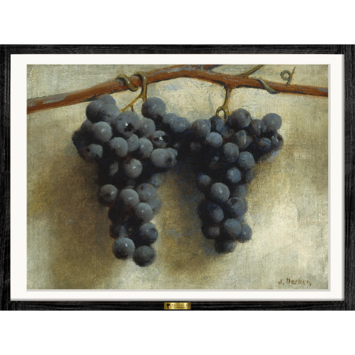 Grapes by Joseph Decker