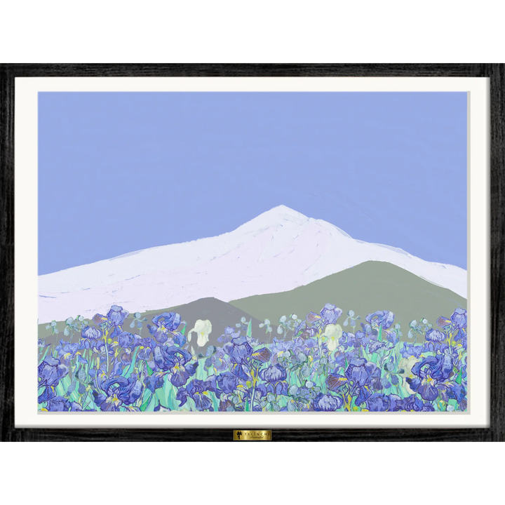 Mountain Blooms