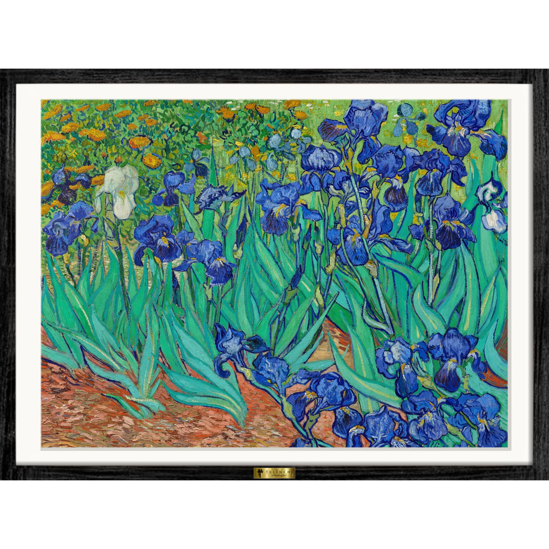 Irises by Vincent van Gogh