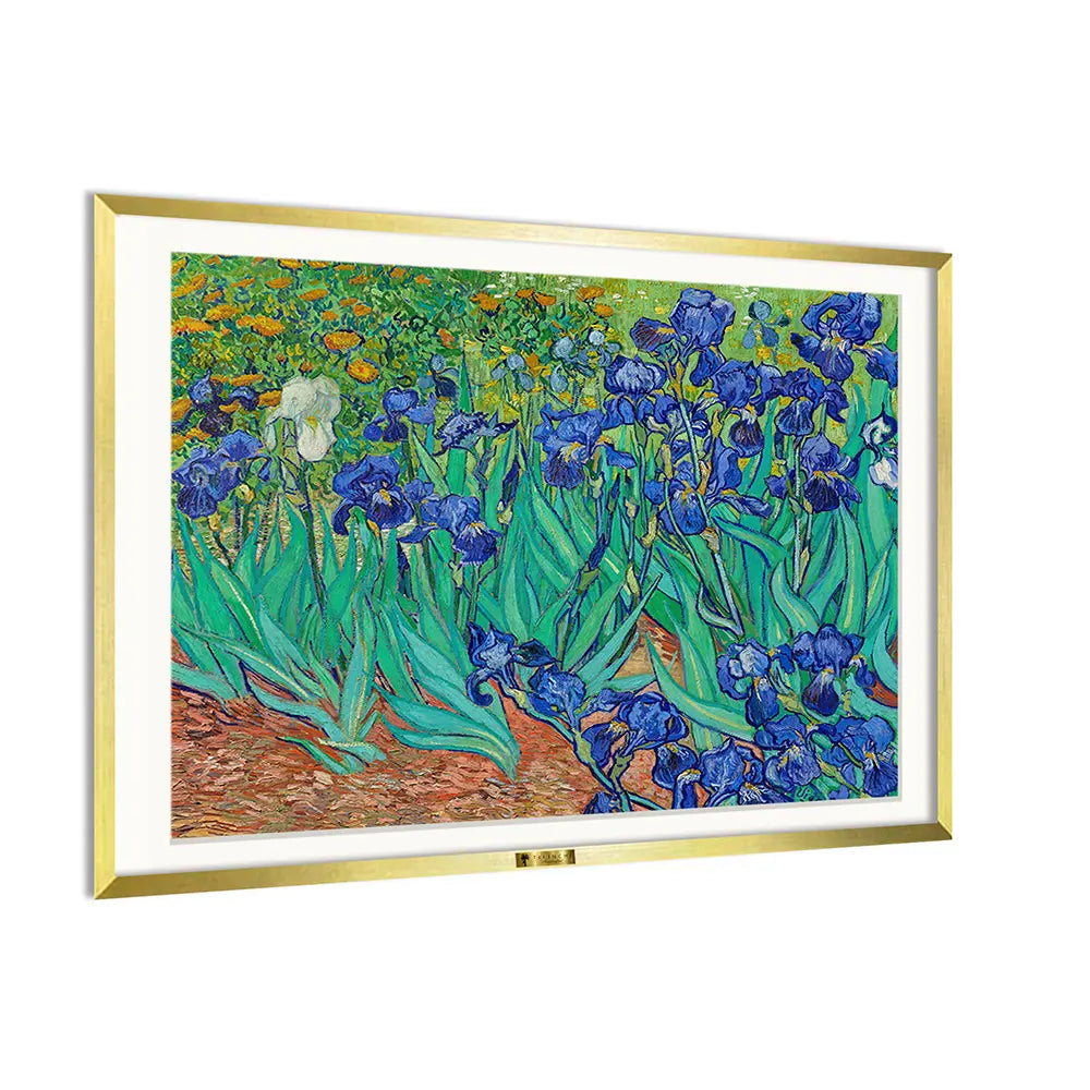 Irises by Vincent van Gogh