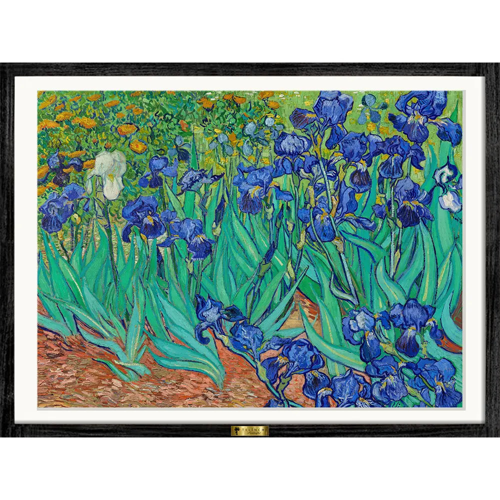 Irises by Vincent van Gogh