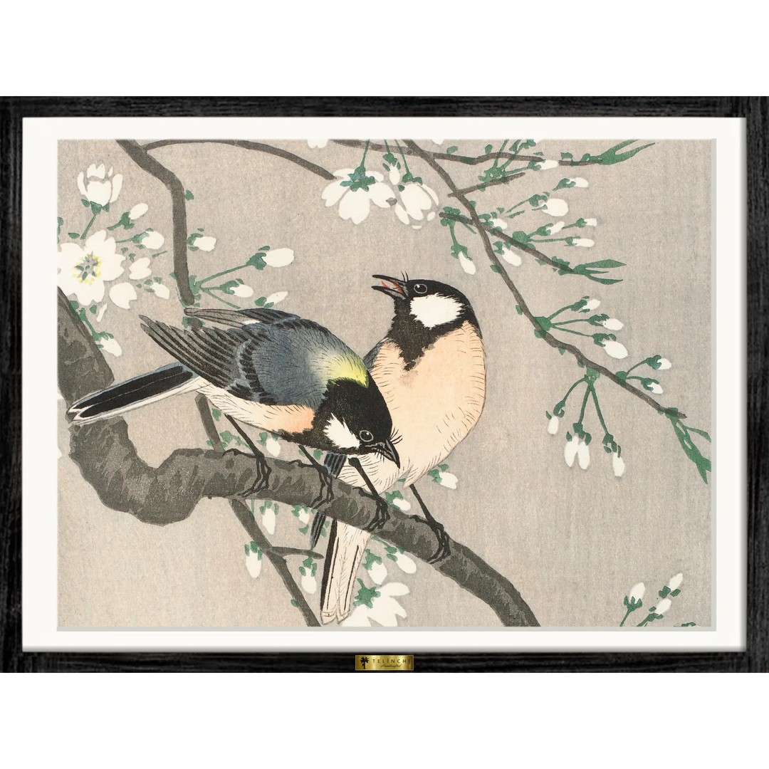 Chirping Love