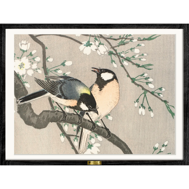 Chirping Love