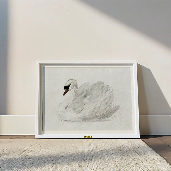 Mute Swan by John James Audubon