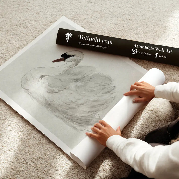 Mute Swan by John James Audubon