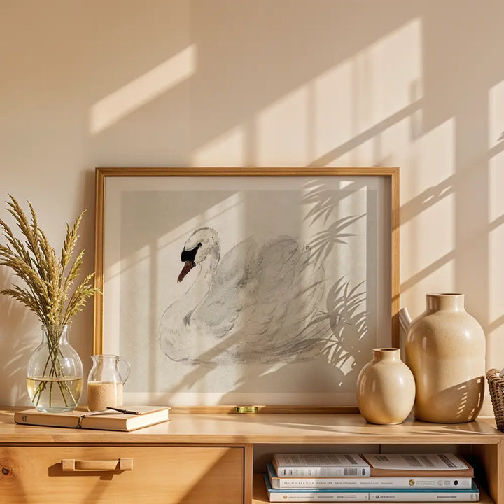 Mute Swan by John James Audubon