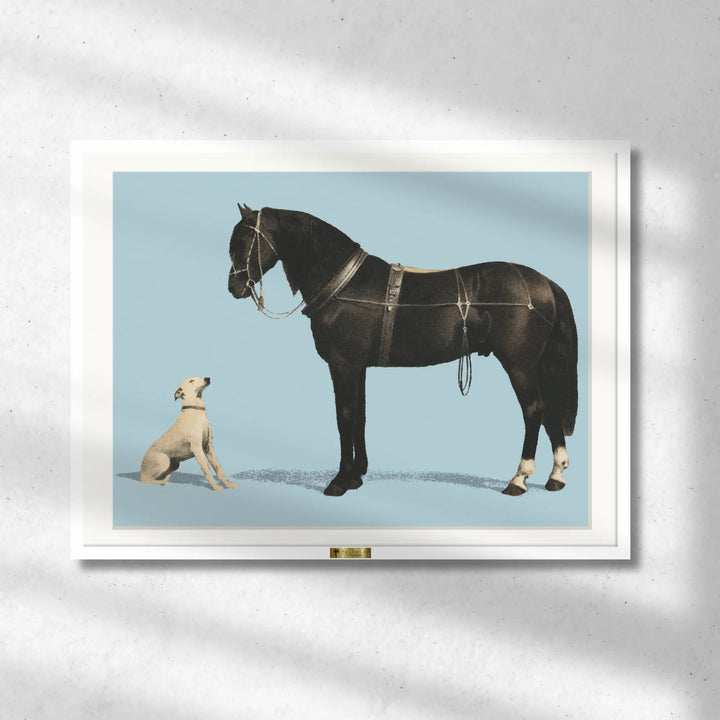 Equine Companions