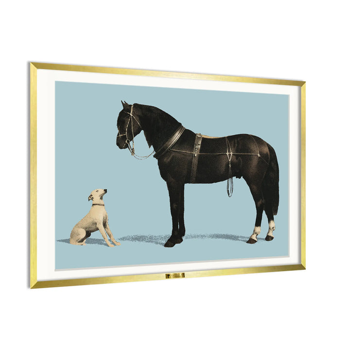 Equine Companions