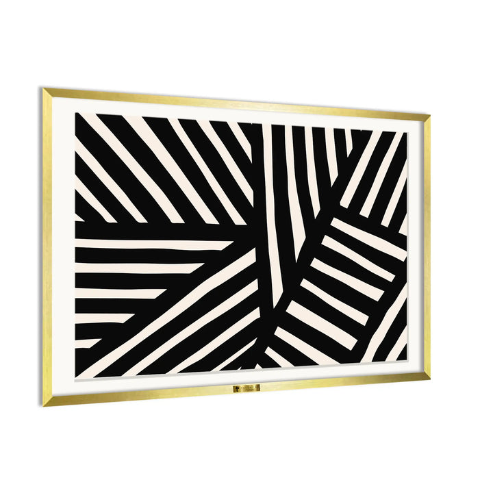 Zebra Stripes
