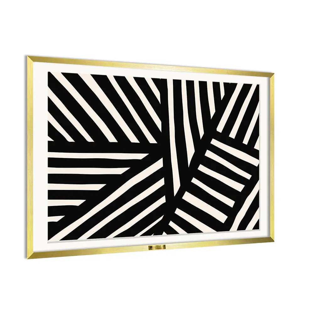 Zebra Stripes