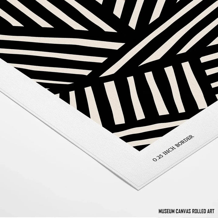Zebra Stripes