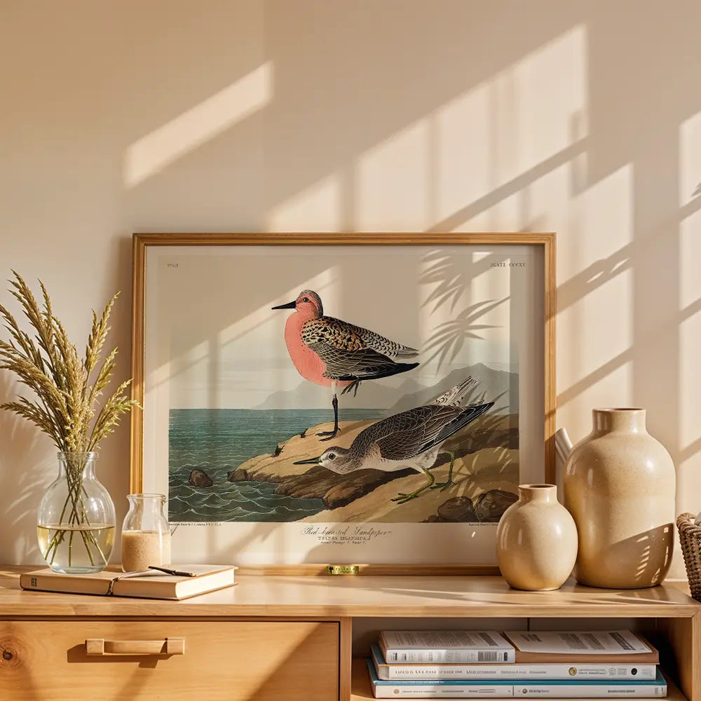 Red-Breasted Wonders