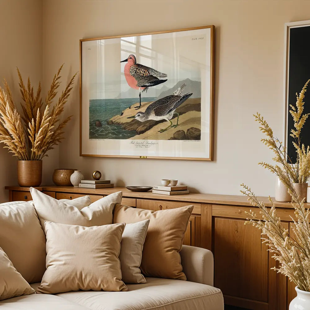 Red-Breasted Wonders