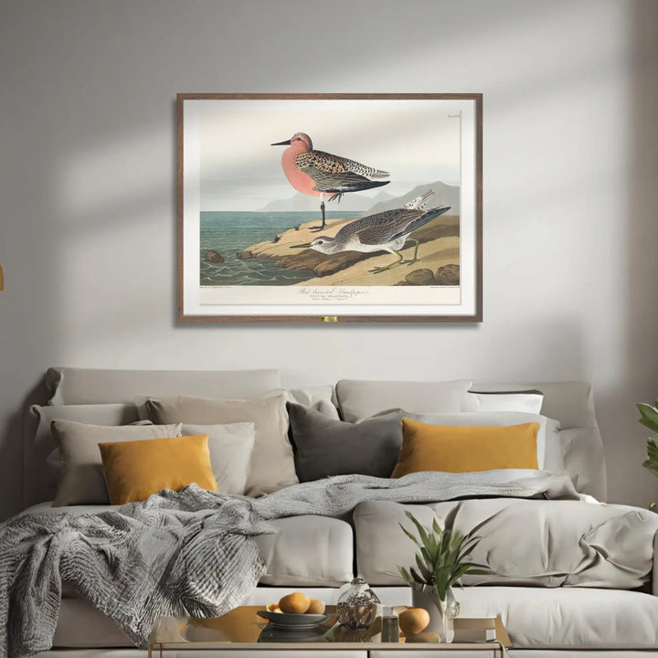 Red-Breasted Wonders - Telinchi