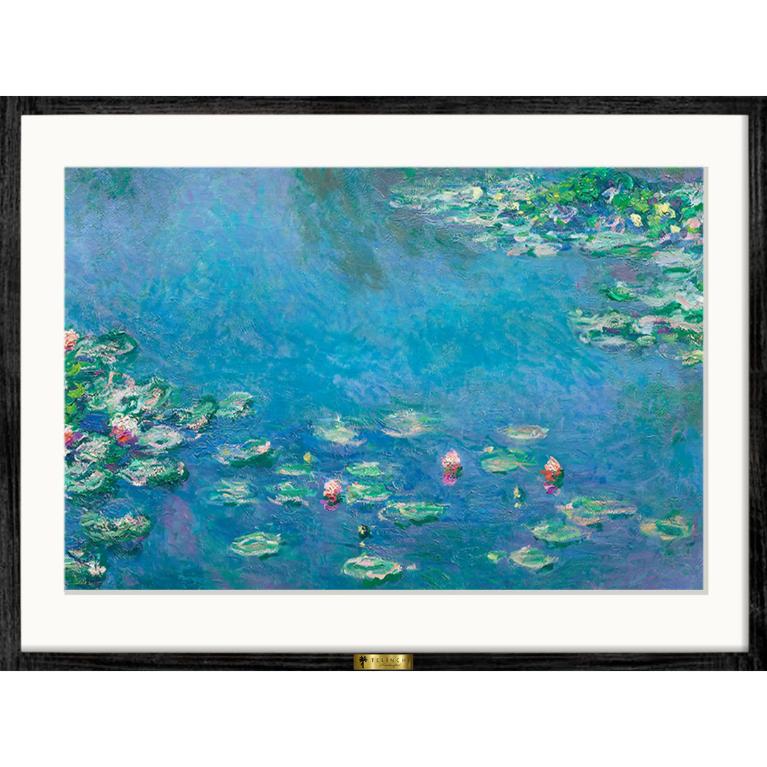 Water Lilies Symphony - Telinchi