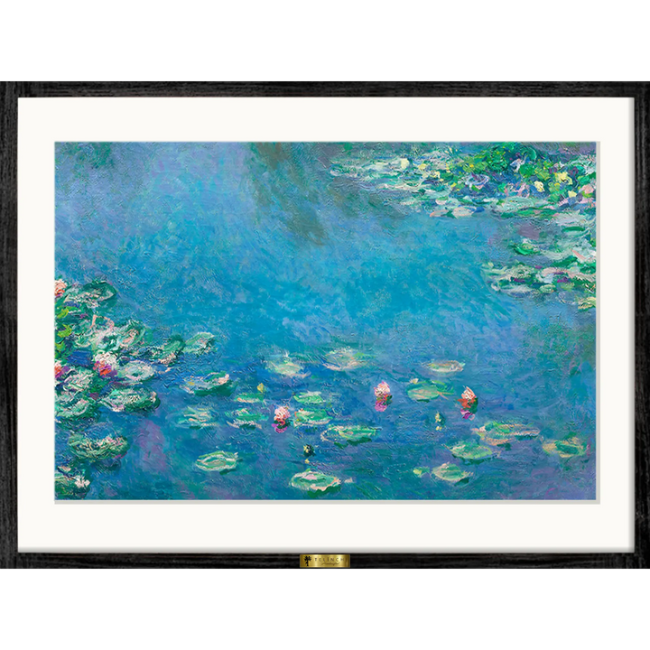 Water Lilies Symphony - Telinchi