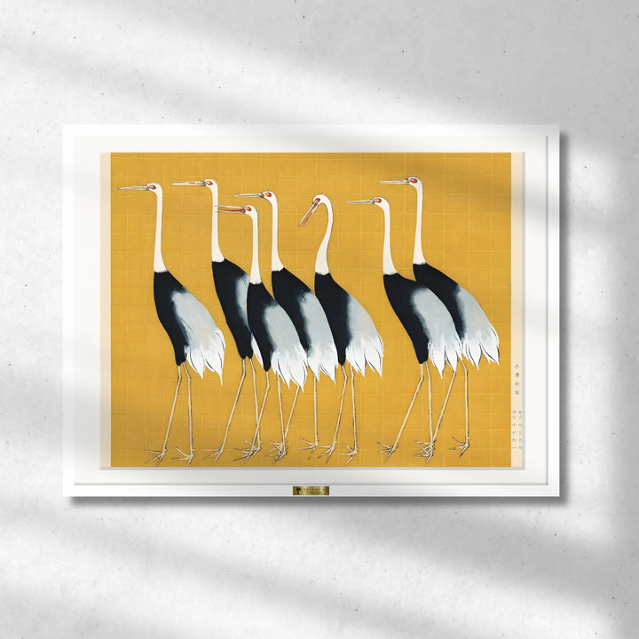 Elegant Cranes