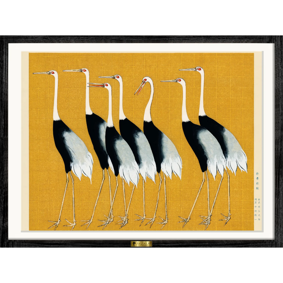 Elegant Cranes