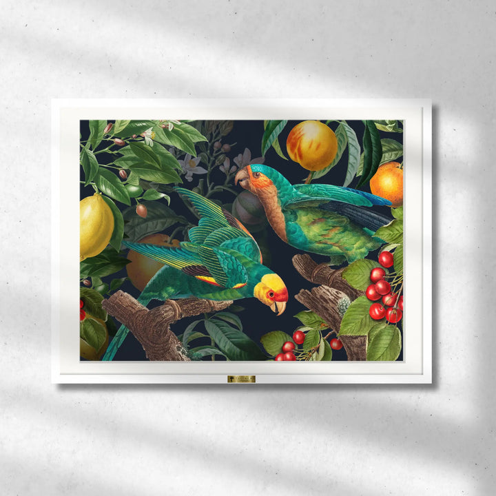 Tropical Symphony