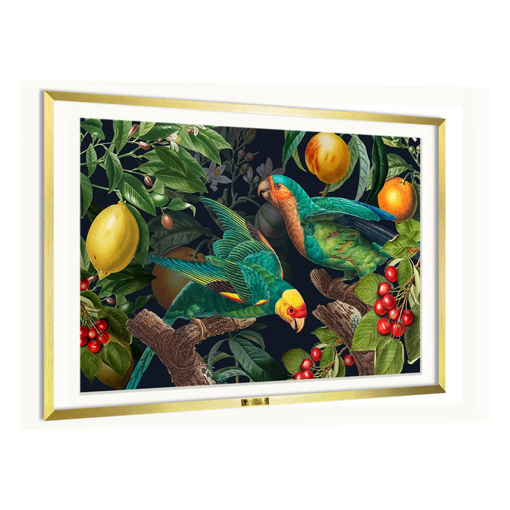Tropical Symphony