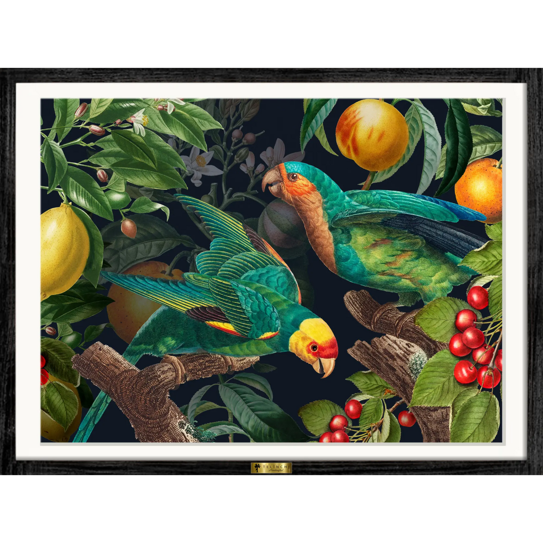 Tropical Symphony