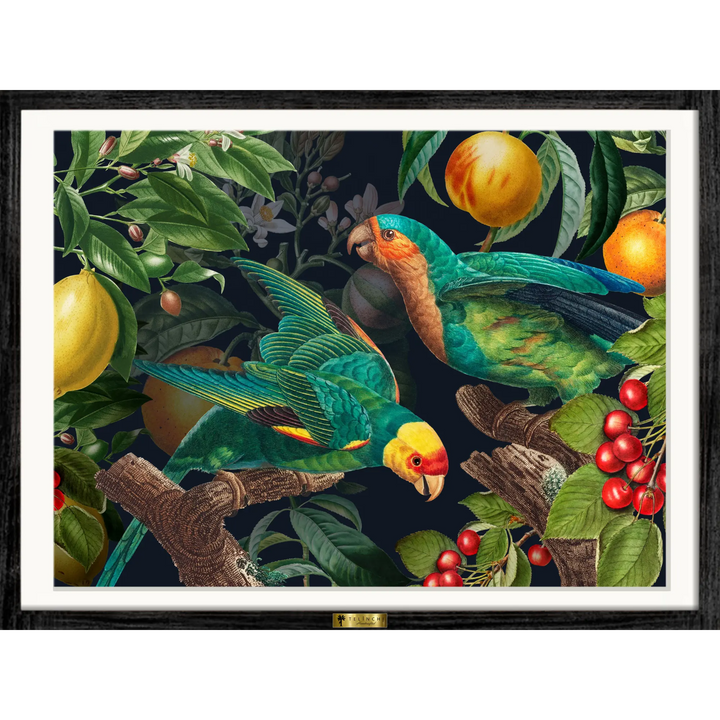 Tropical Symphony