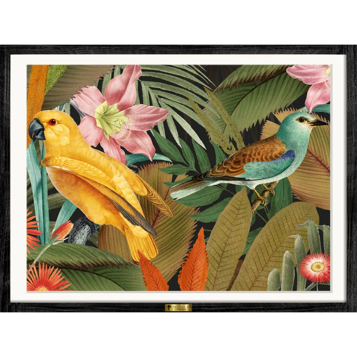 Song of the Tropics