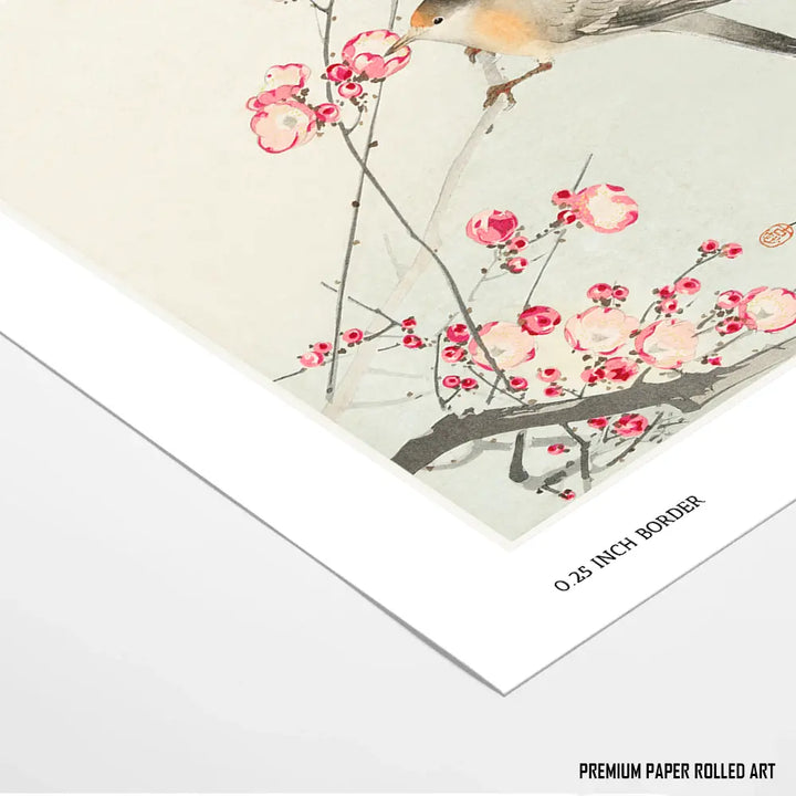 Blossoms of Tranquility