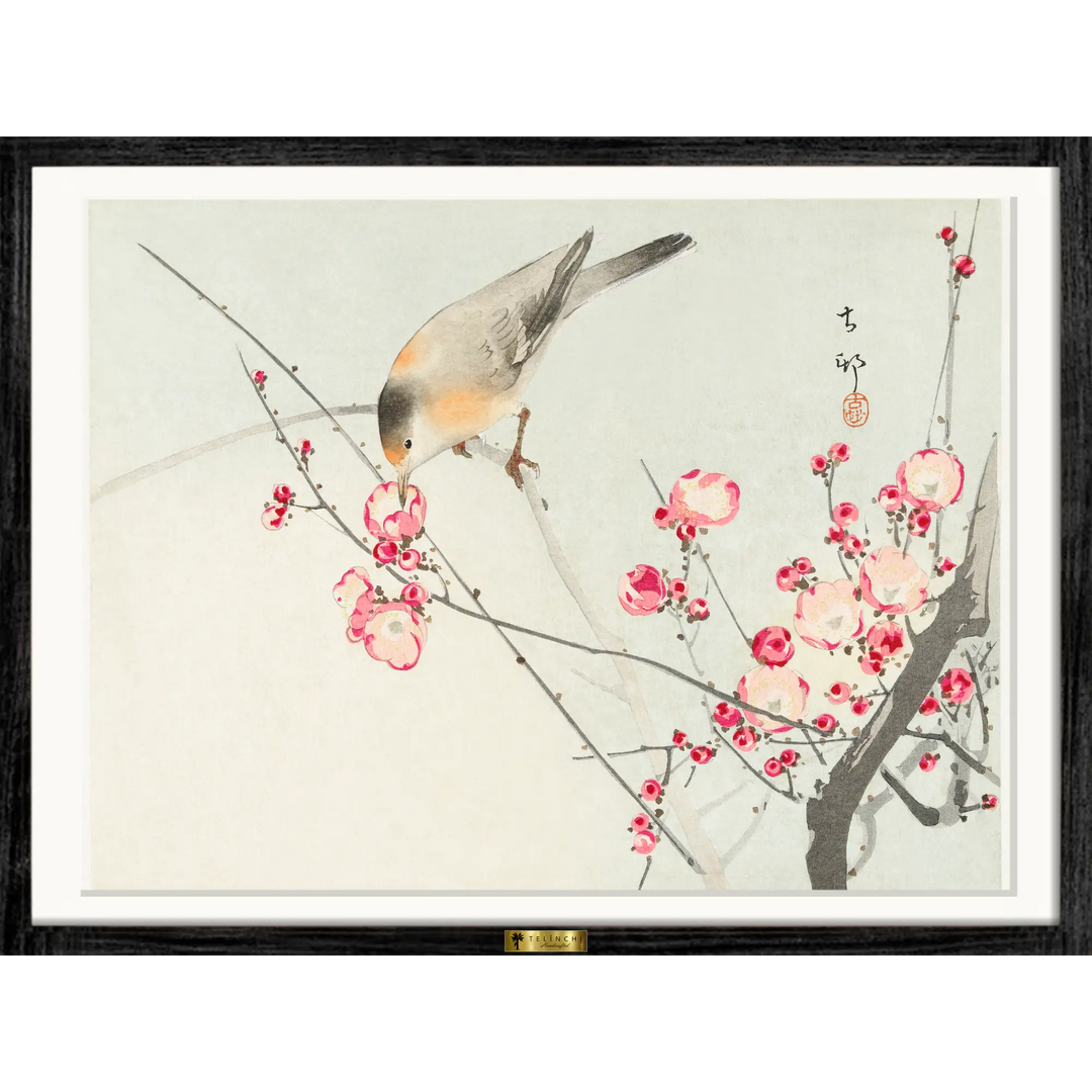 Blossoms of Tranquility