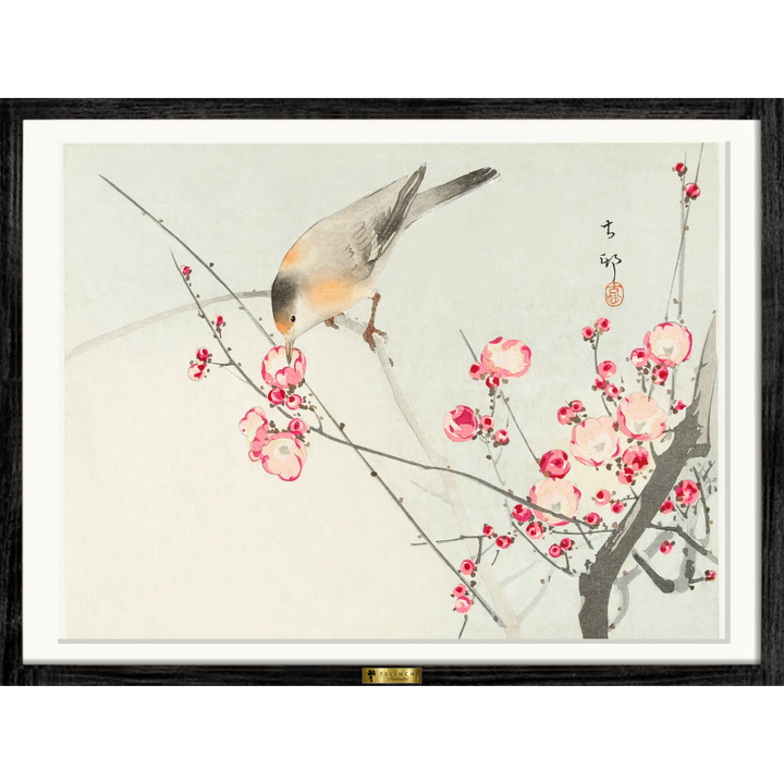 Blossoms of Tranquility