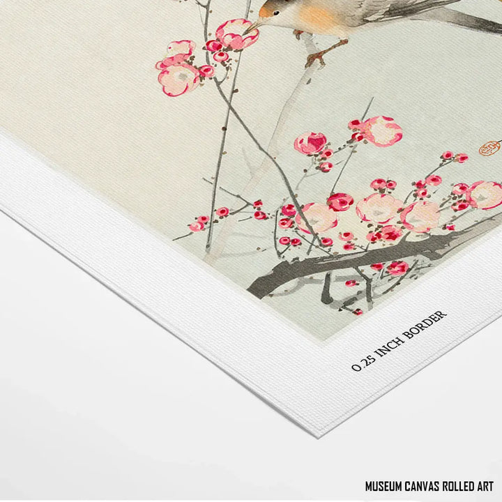 Blossoms of Tranquility